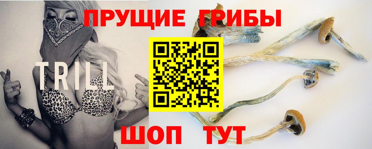 Галлюциногенные грибы GOLDEN TEACHER  Вход с VPN  Еманжелинск 